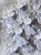 IMG_7404.jpeg