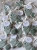 IMG_7413.jpeg