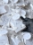 IMG_8610.jpeg