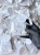 IMG_8609.jpeg