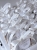 IMG_8615.jpeg