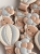 1BC872BC-984E-4B88-A08D-421212ACE790.jpeg